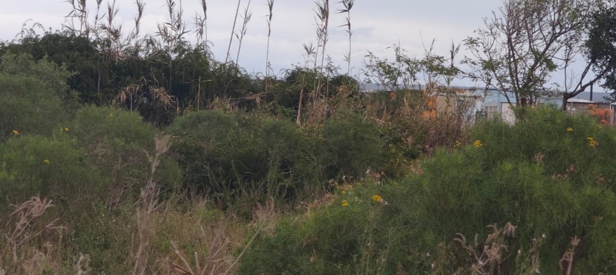 0 Bedroom Property for Sale in Colchester Eastern Cape